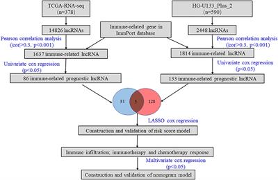 Identification and validation of an immune-related lncRNAs signature to predict the overall survival of ovarian cancer